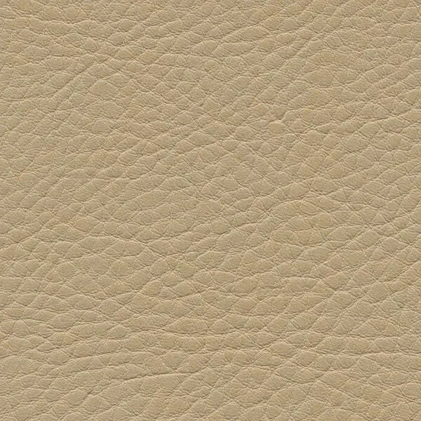 Kunstleder-Kissen 40x40 cm | Omega II Rindsleder-Optik