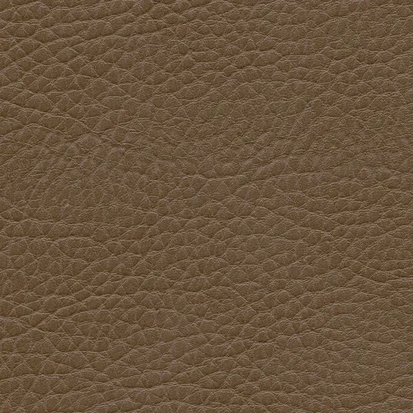 Kunstleder-Kissen 40x40 cm | Omega II Rindsleder-Optik