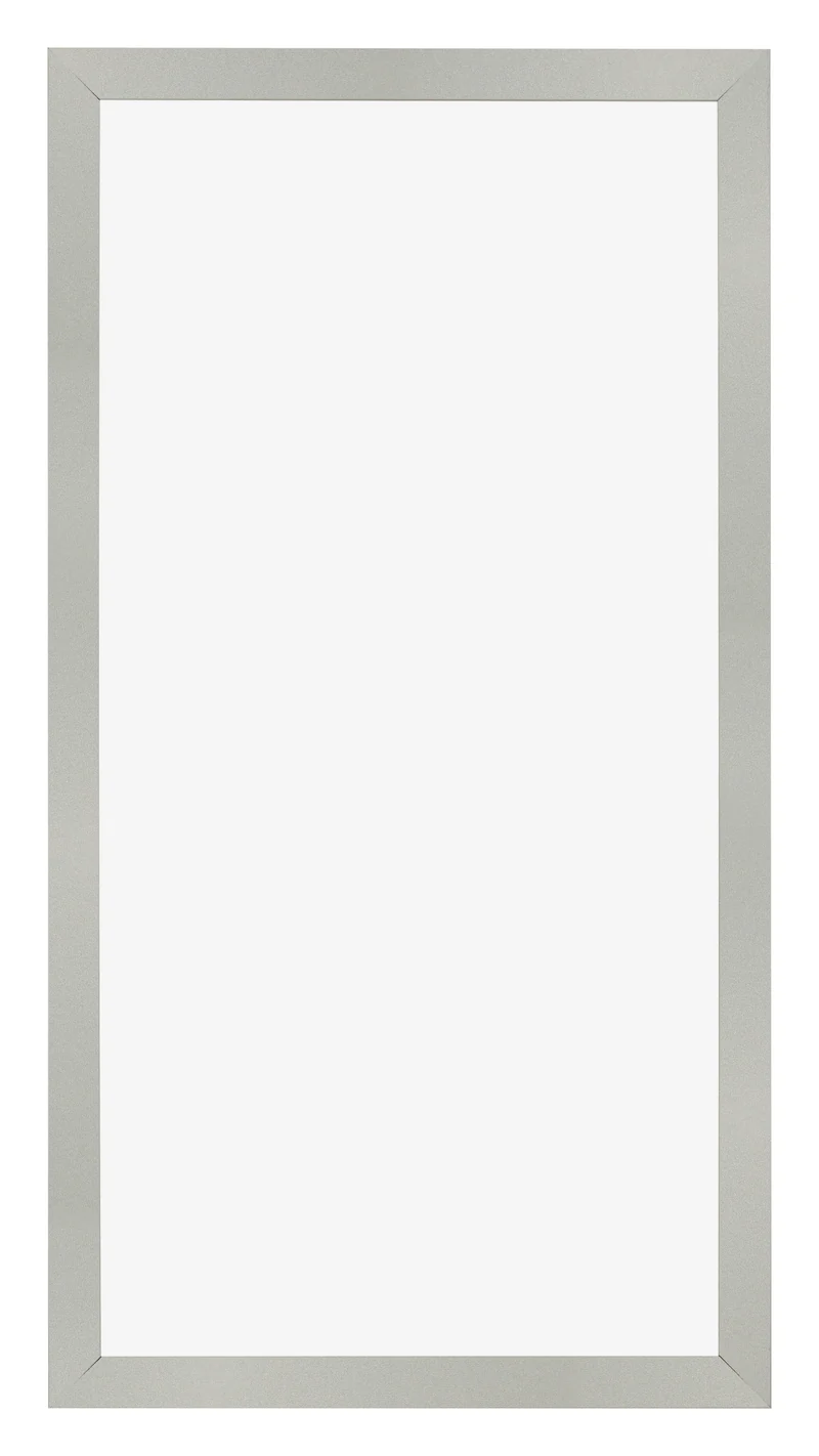 Bilderrahmen 50x100 cm - Silber Matt - MDF - Bologna