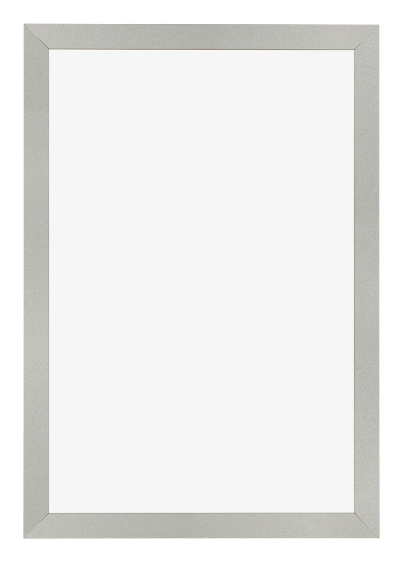 Bilderrahmen 62x93 cm - Silber Matt - MDF - Bologna