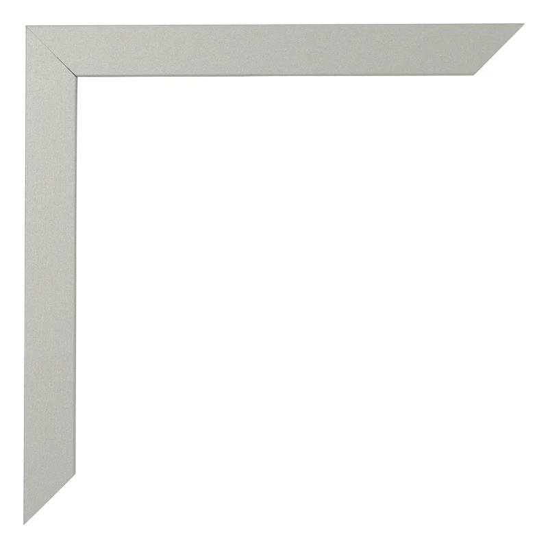 Bilderrahmen 50x70 cm - Silber Matt - MDF - Bologna