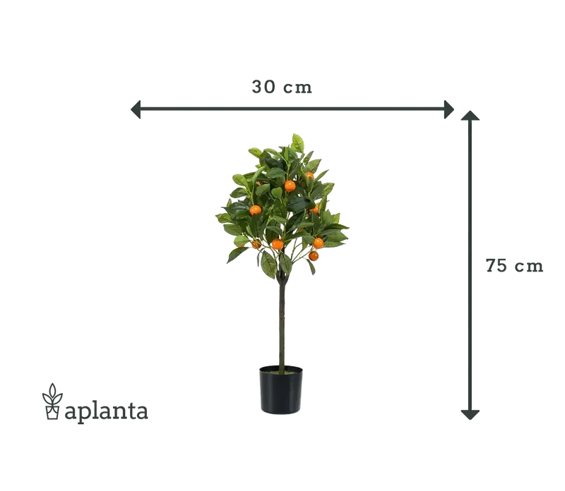 Künstlicher Orangenbaum - Julia | 75 cm