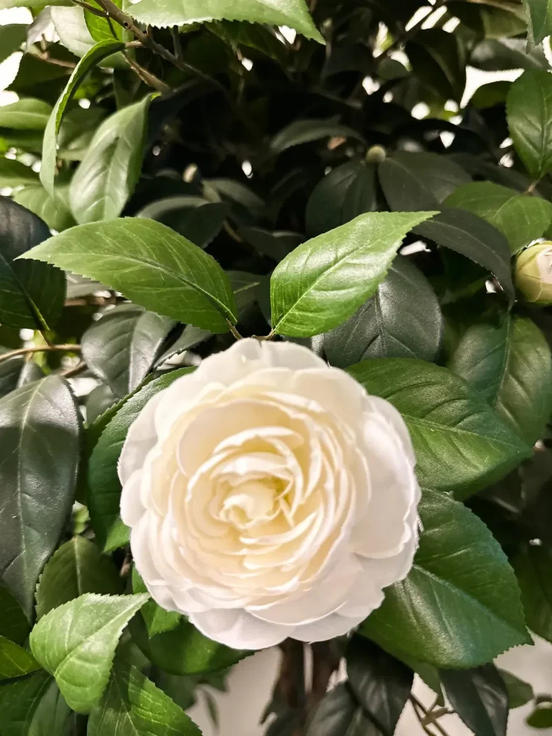 Künstlicher Kamelienbaum - Pina | 130 cm