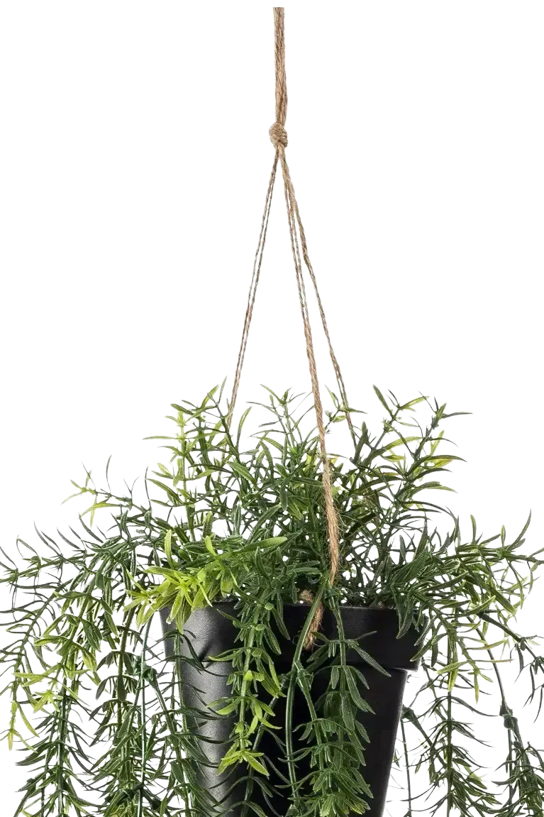 Künstlicher Hänge-Zierspargel - Kilian | 50 cm