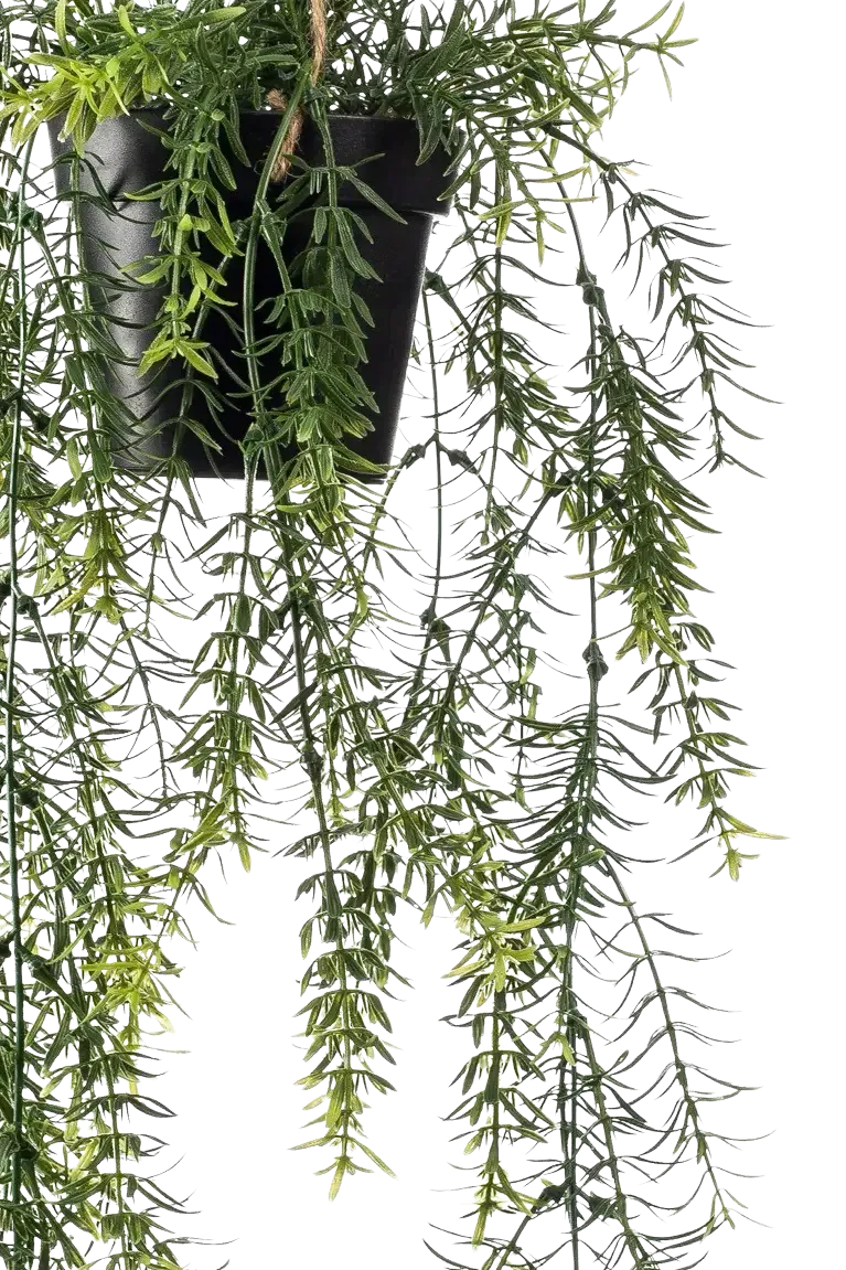 Künstlicher Hänge-Zierspargel - Kilian | 50 cm
