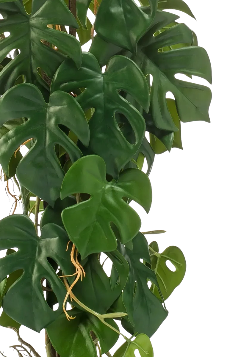Künstliche Monstera - Luise | 75 cm