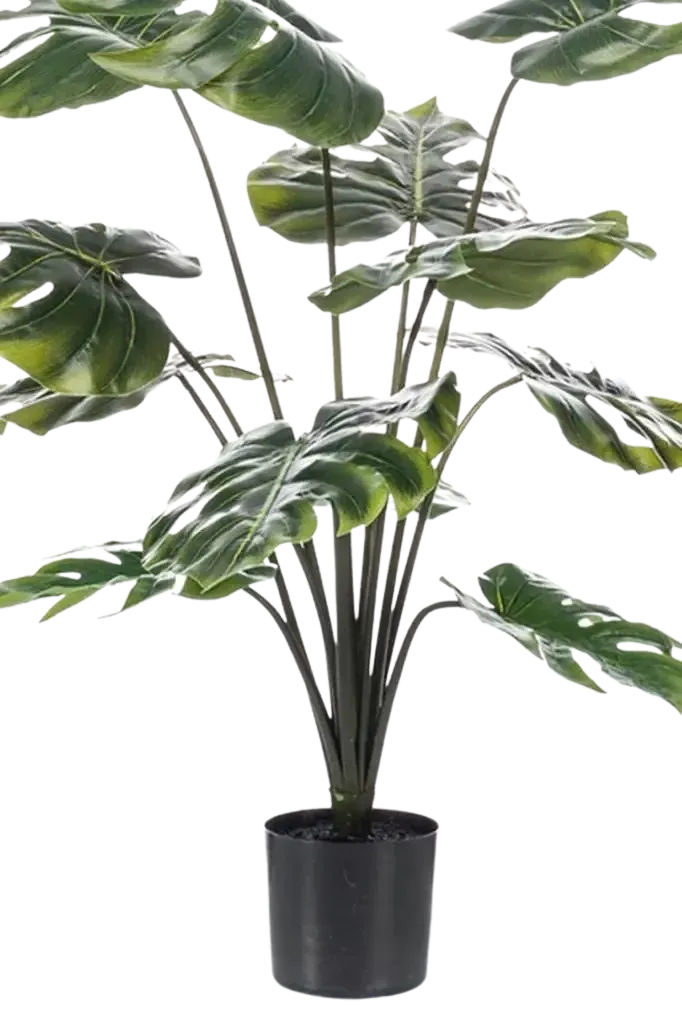 Künstliche Monstera - Karl | 80 cm