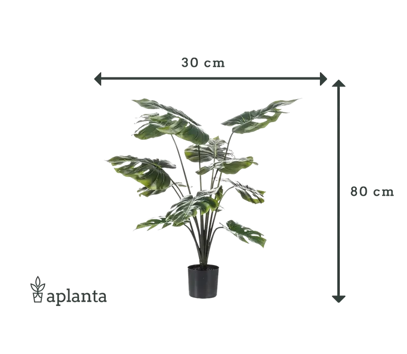Künstliche Monstera - Karl | 80 cm