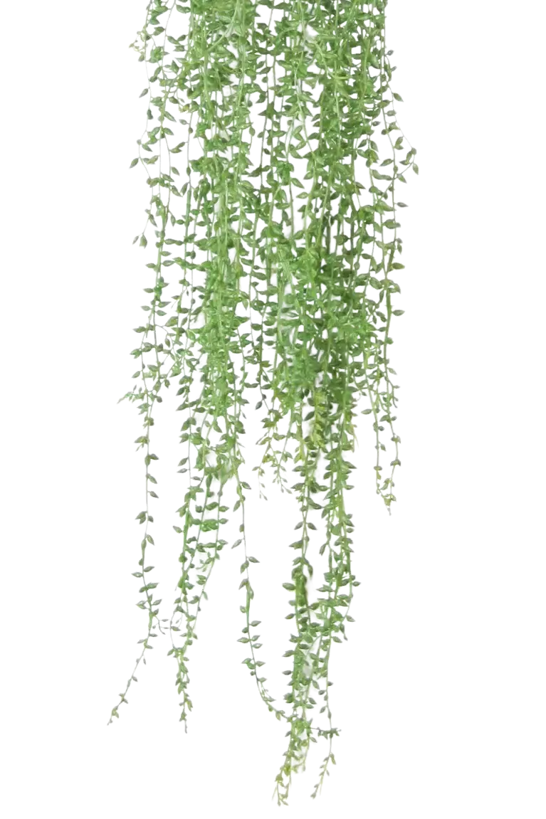 Künstliche Erbsenpflanze - Karina | 70 cm