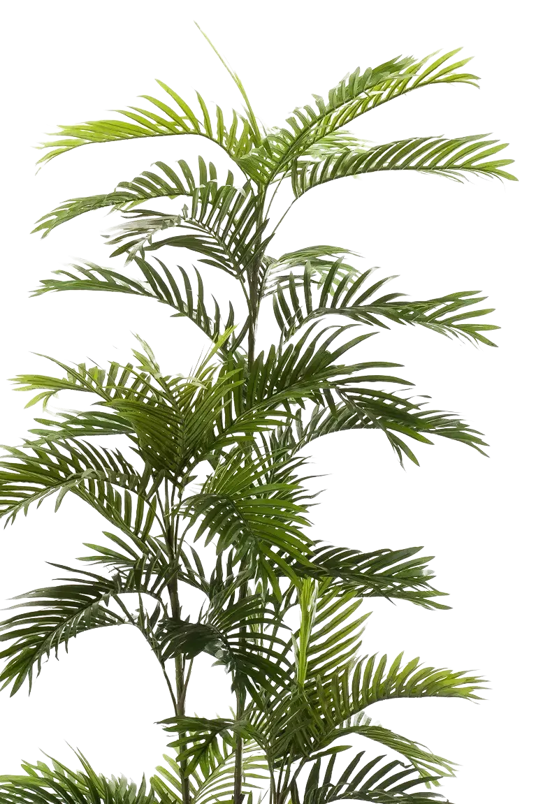 Künstliche Phoenix Palme - Kira | 180 cm