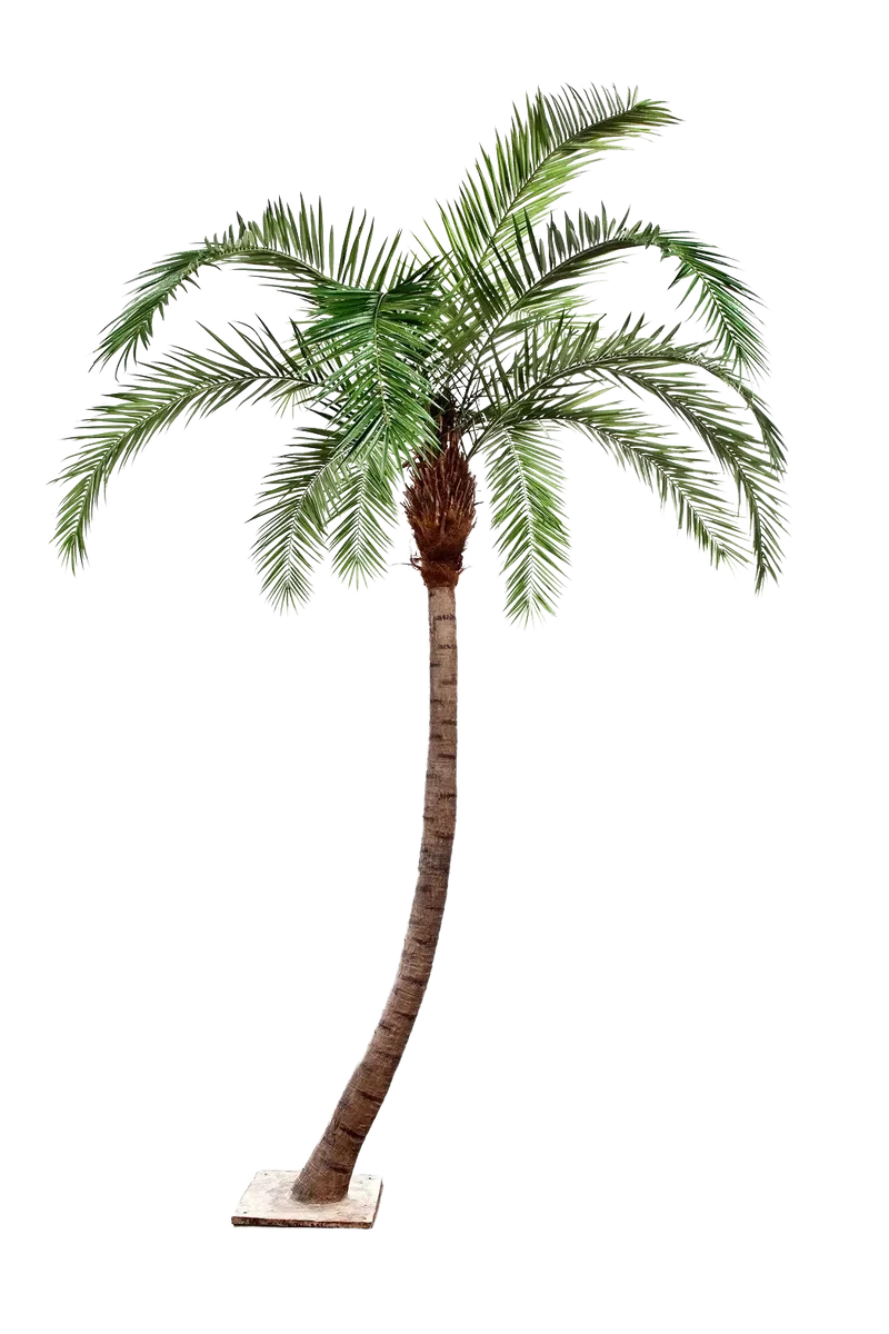 Künstliche Phoenixpalme - Simon | 330 cm