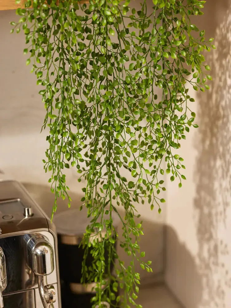 Künstlicher Hänge-Jasmin - Levin | 80 cm