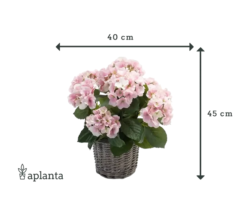 Künstliche Hortensie - Lennard | 45 cm