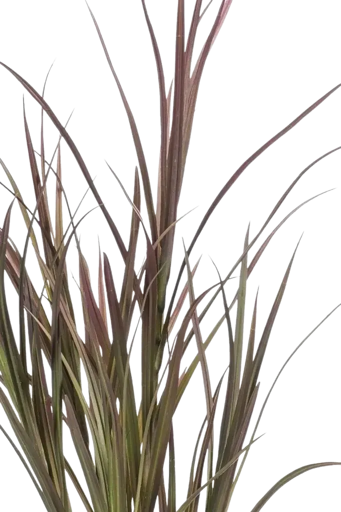 Künstliches Gras - Matilda | 90 cm