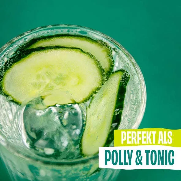 POLLY - Alkoholfreie Gin Alternative - London Classic - 500 ml
