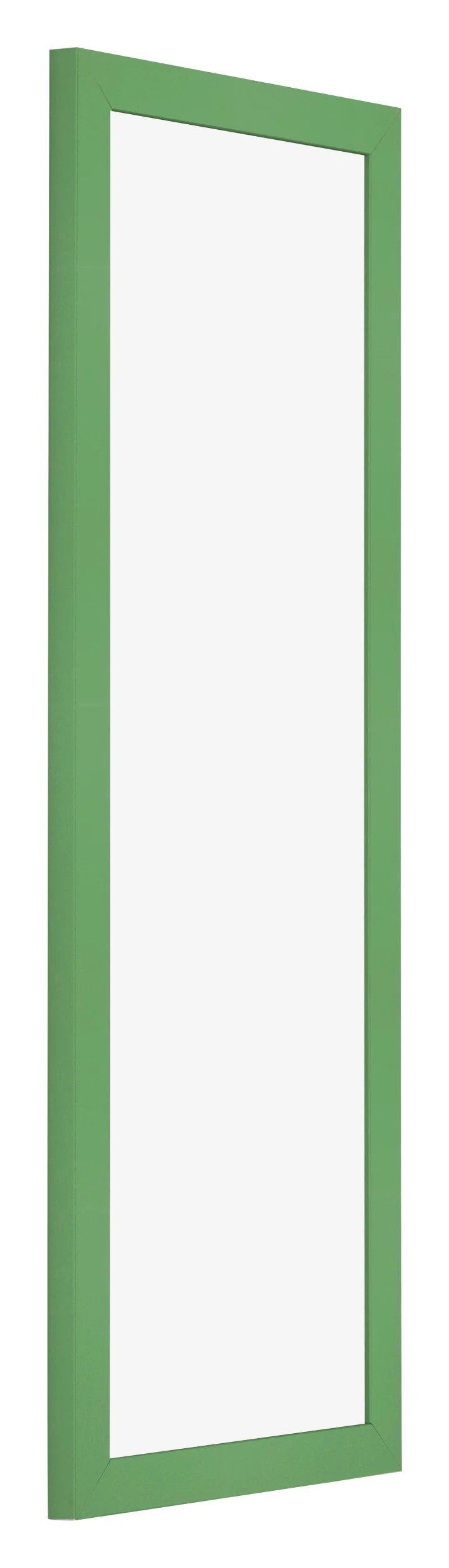 Bilderrahmen 33x98 cm - Grün - MDF - Bologna