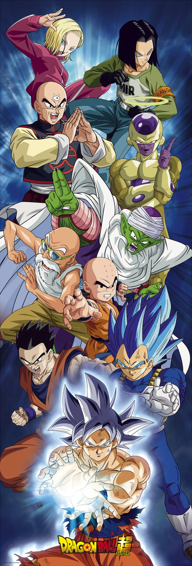 Poster Dragon Ball Super Door Group 53x158cm