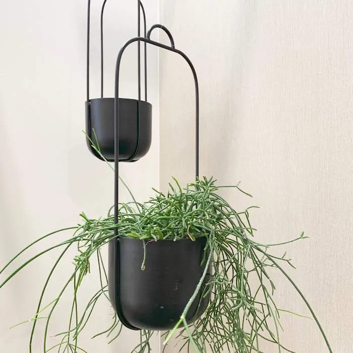 Hängetopf Lotus Blumenampel aus Metall (2er Set) - Hübsch