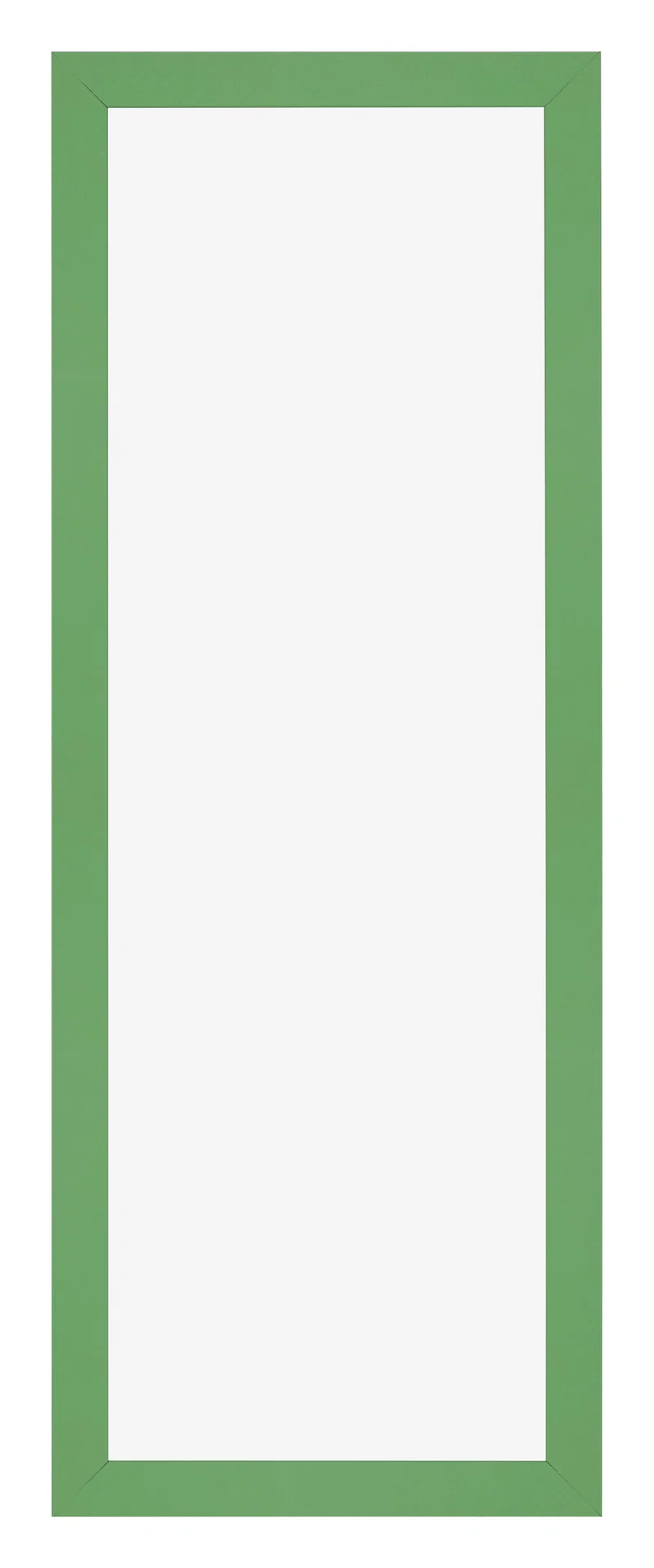 Bilderrahmen 20x60 cm - Grün - MDF - Bologna