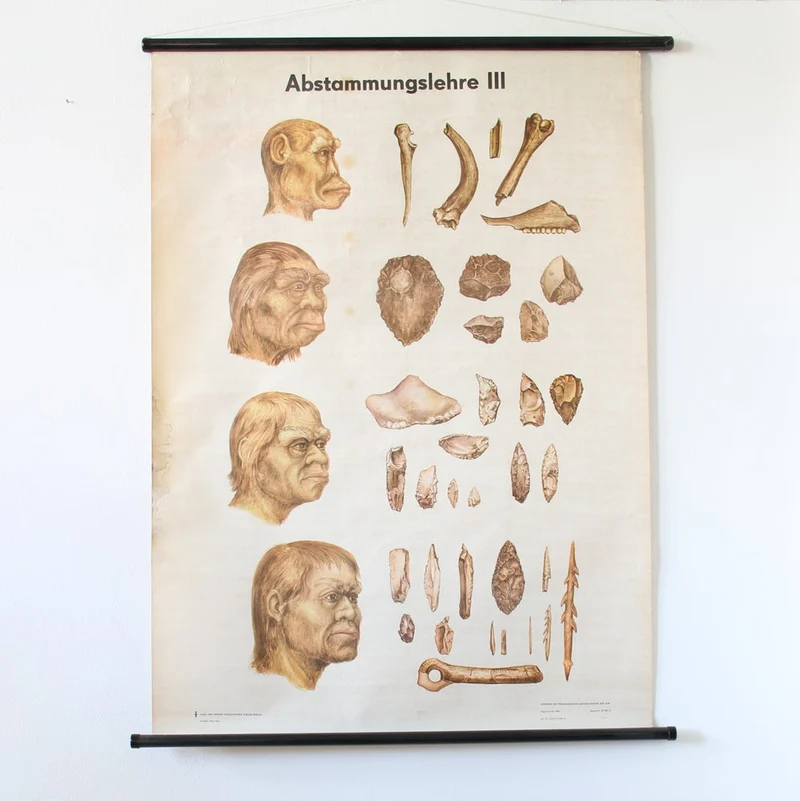 Wandtafel Urzeit