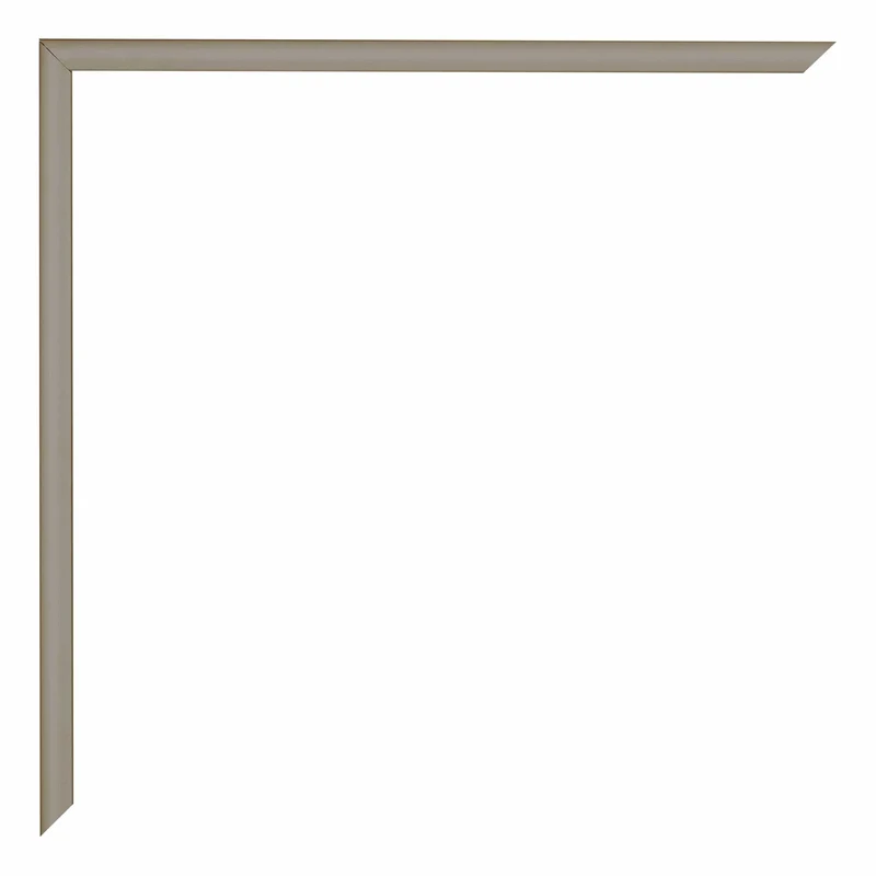 Bilderrahmen 20x60 cm - Champagner - Aluminium - Kent