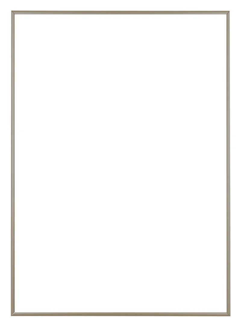 Bilderrahmen 42x60 cm - Champagner - Aluminium - Kent
