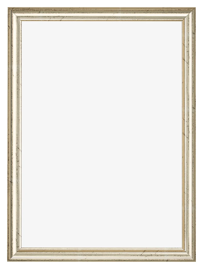 Bilderrahmen 60x84 cm - Metallglanz - MDF - Lazio