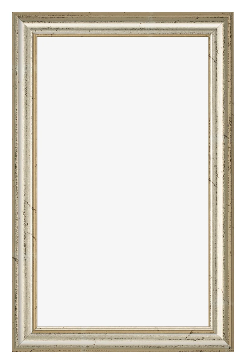 Bilderrahmen 33x48 cm - Metallglanz - MDF - Lazio