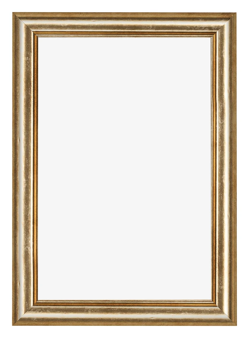 Bilderrahmen 61x91,5 cm - Gold Antik - MDF - Lazio