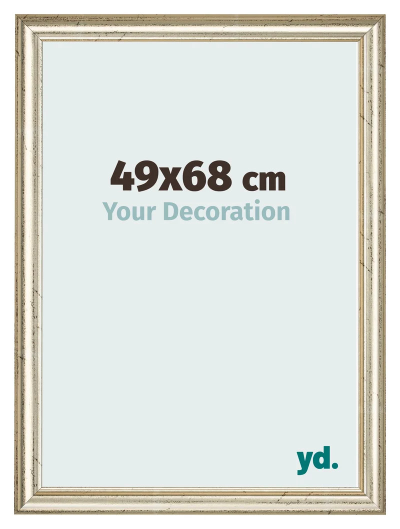 Bilderrahmen 49x68 cm - Metallglanz - MDF - Lazio