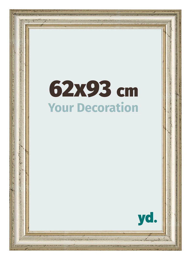 Bilderrahmen 62x93 cm - Metallglanz - MDF - Lazio