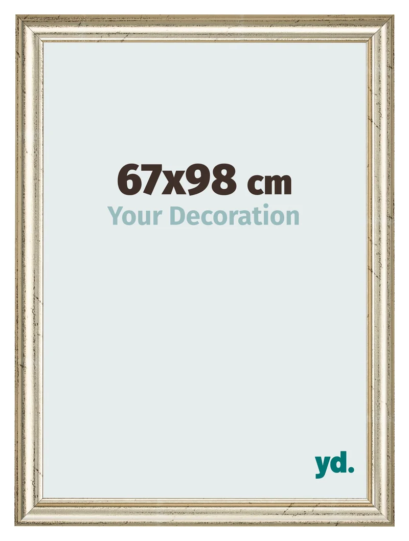 Bilderrahmen 67x98 cm - Metallglanz - MDF - Lazio