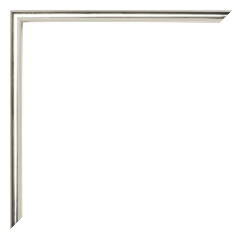 Bilderrahmen 61x91,5 cm - Champagner - Kunststoff - Annecy