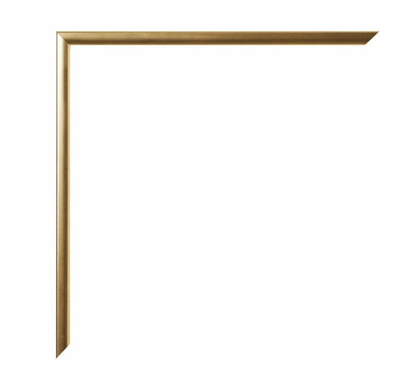 Bilderrahmen A1 - 59,4x84 cm - Gold - Kunststoff - Evry