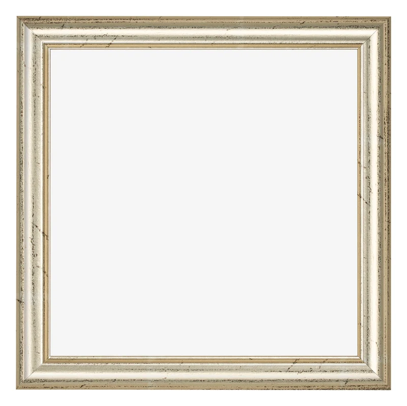 Bilderrahmen 50x50 cm - Metallglanz - MDF - Lazio