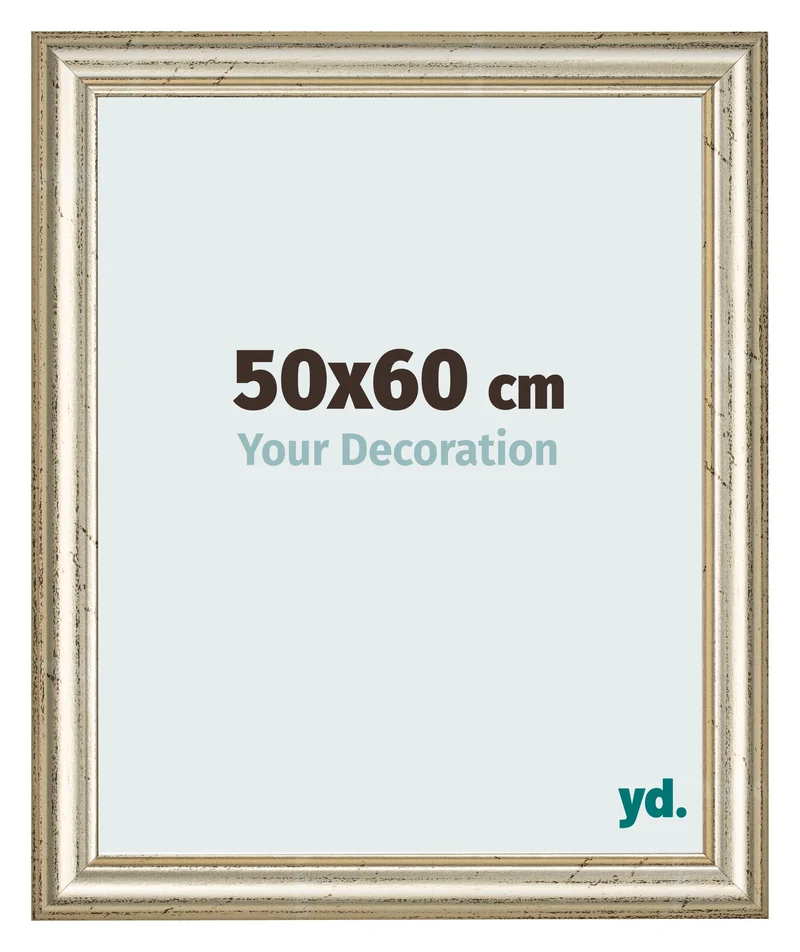 Bilderrahmen 50x60 cm - Metallglanz - MDF - Lazio