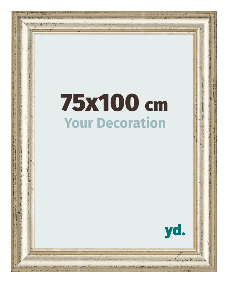 Bilderrahmen 75x100 cm - Metallglanz - MDF - Lazio