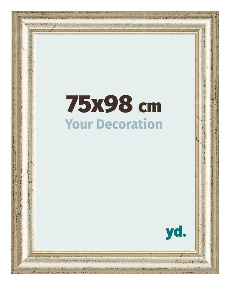 Bilderrahmen 75x98 cm - Metallglanz - MDF - Lazio