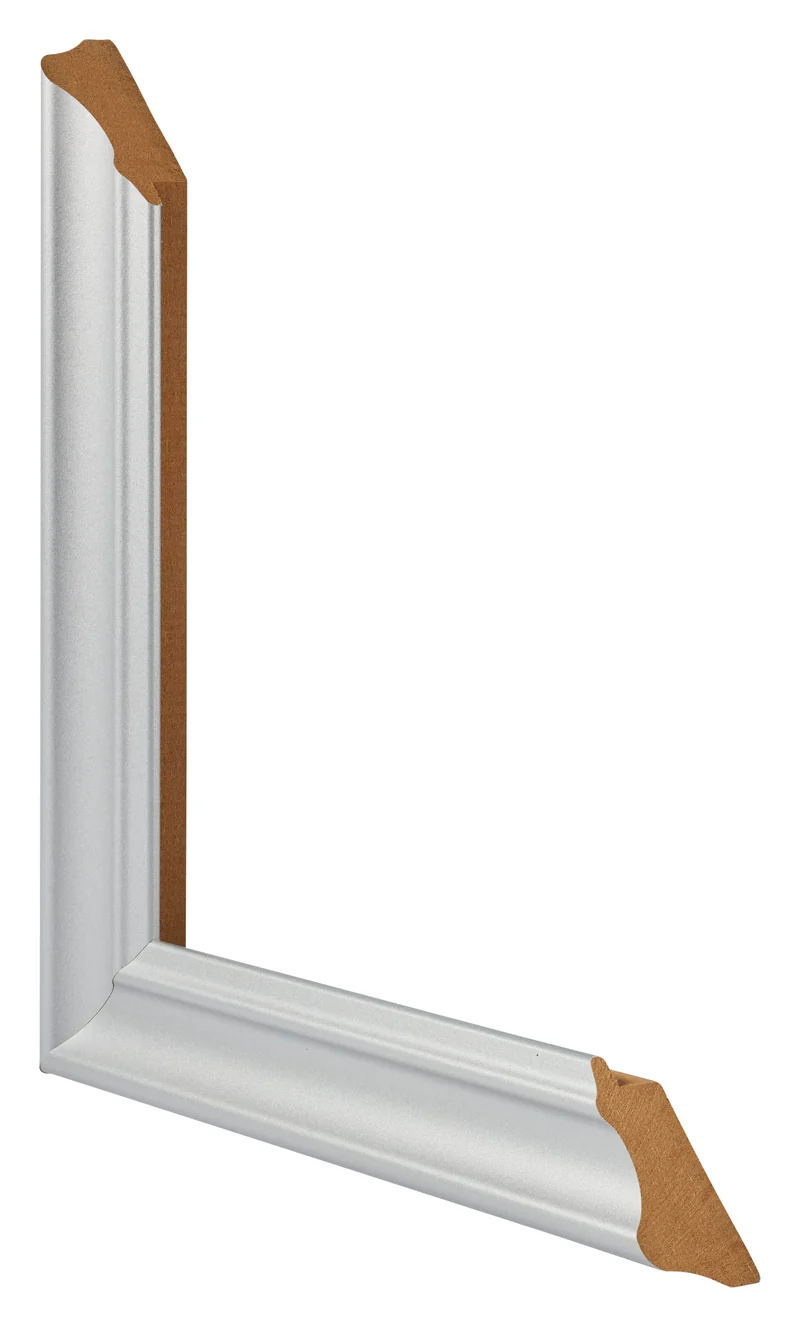 Bilderrahmen 45x80 cm - Silber Matt - MDF - Lazio