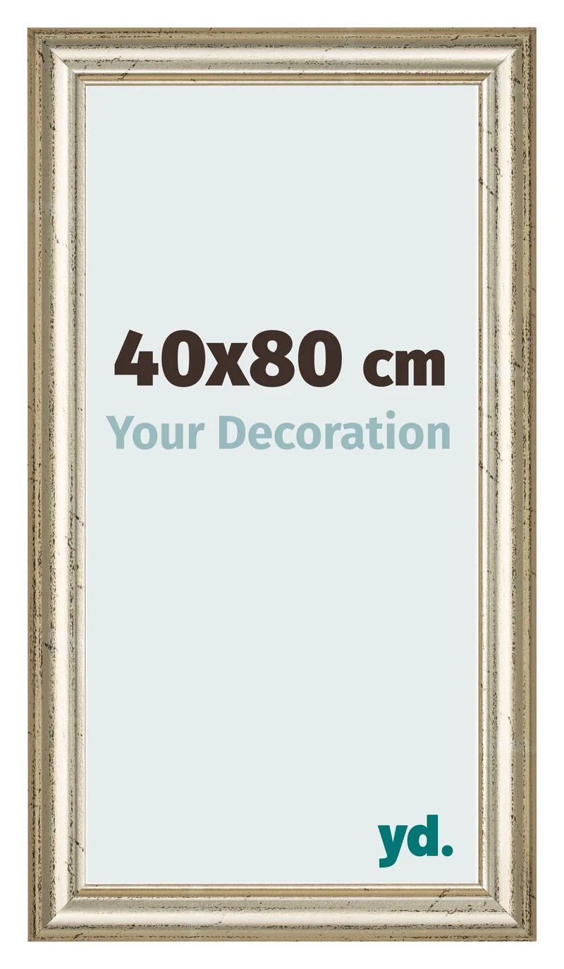 Bilderrahmen 40x80 cm - Metallglanz - MDF - Lazio