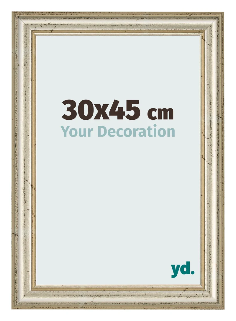 Bilderrahmen 30x45 cm - Metallglanz - MDF - Lazio