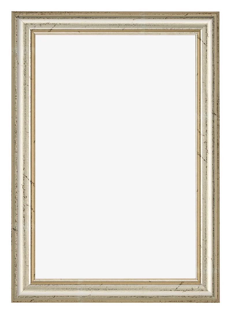 Bilderrahmen 30x45 cm - Metallglanz - MDF - Lazio