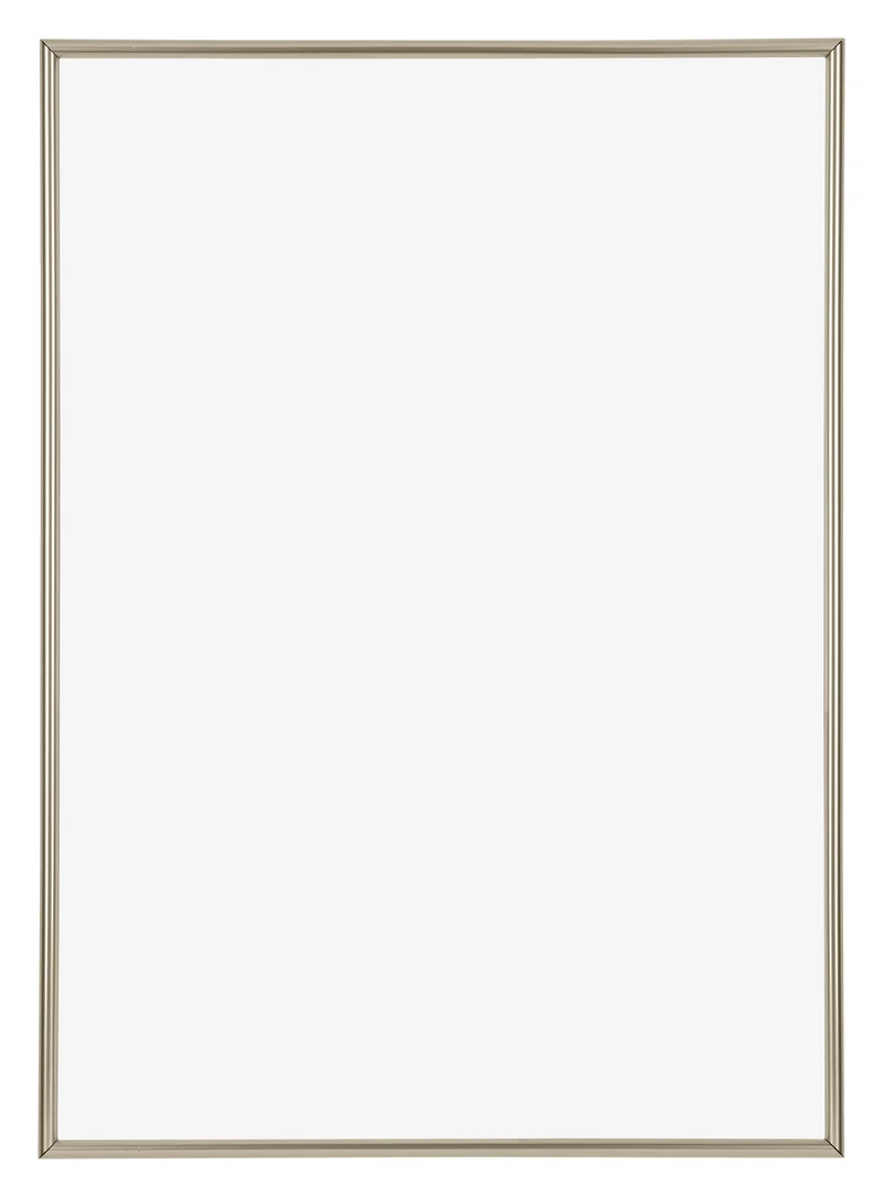Bilderrahmen A3 - 29,7x42 cm - Champagner - Kunststoff - Annecy