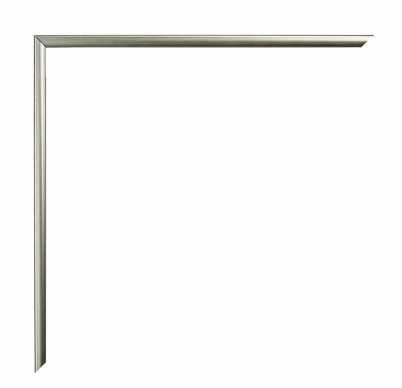 Bilderrahmen A4 - 21x29,7 cm - DIN A4 Champagner - Kunststoff - Evry