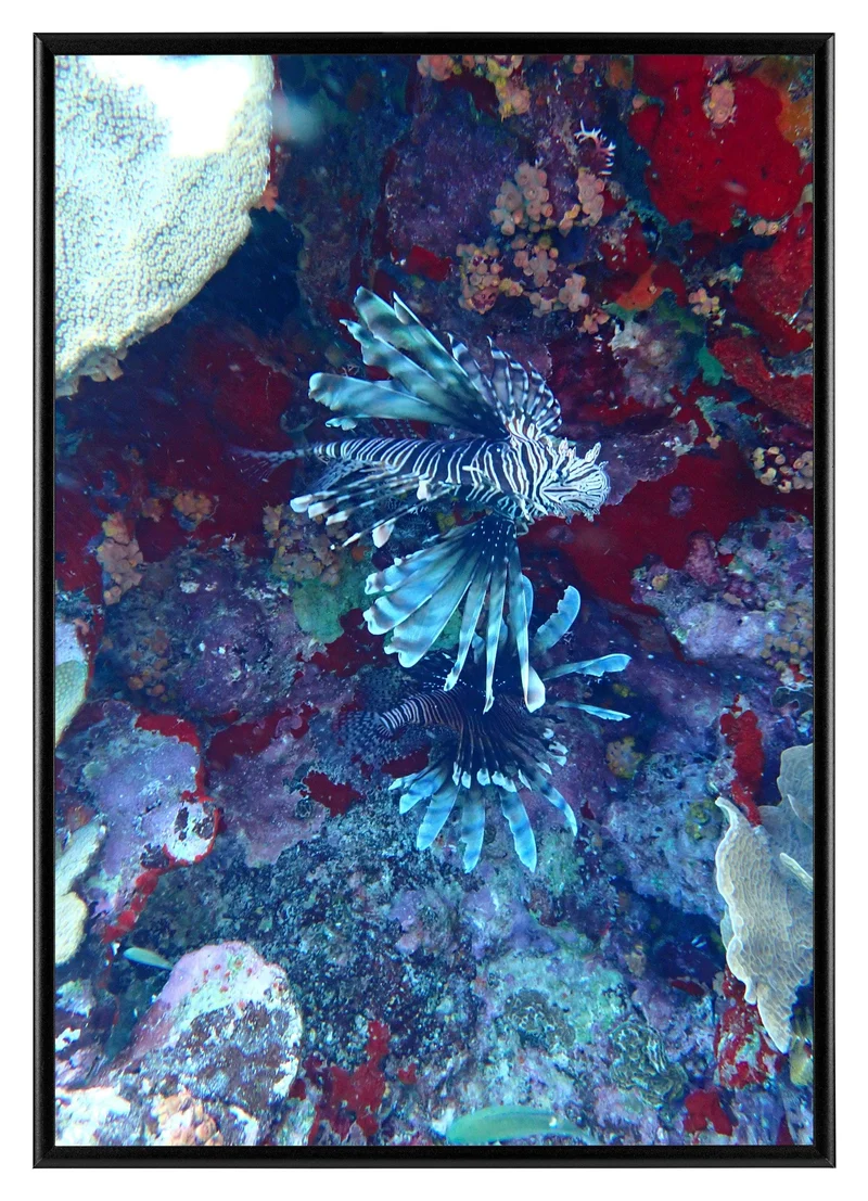 Bilderrahmen A3 - 29,7x42 cm - DIN A3 Schwarz - 3 Stück - Aluminium - Aurora