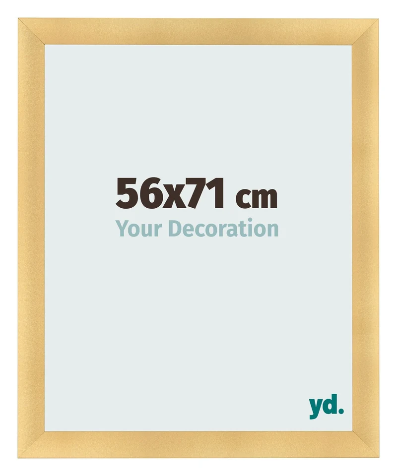 Bilderrahmen 56x71 cm - Gold Matt - MDF - Pisa