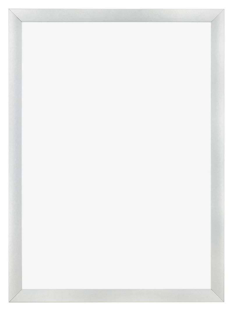 Bilderrahmen 60x84 cm - Silber Matt - MDF - Pisa