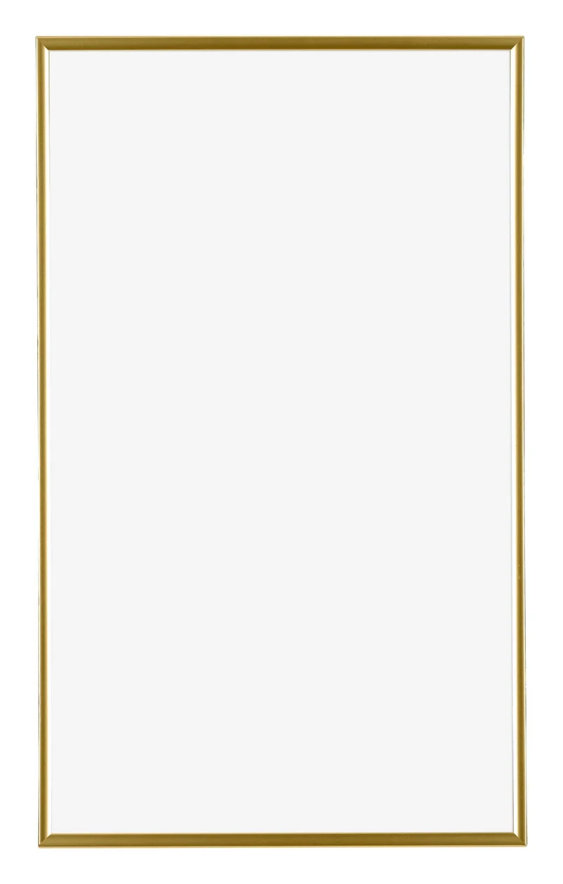 Bilderrahmen 33x48 cm - Gold - Kunststoff - Evry