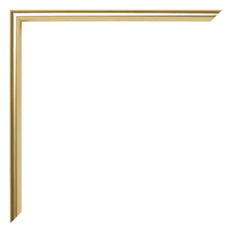 Bilderrahmen 48x68 cm - Gold - Kunststoff - Annecy