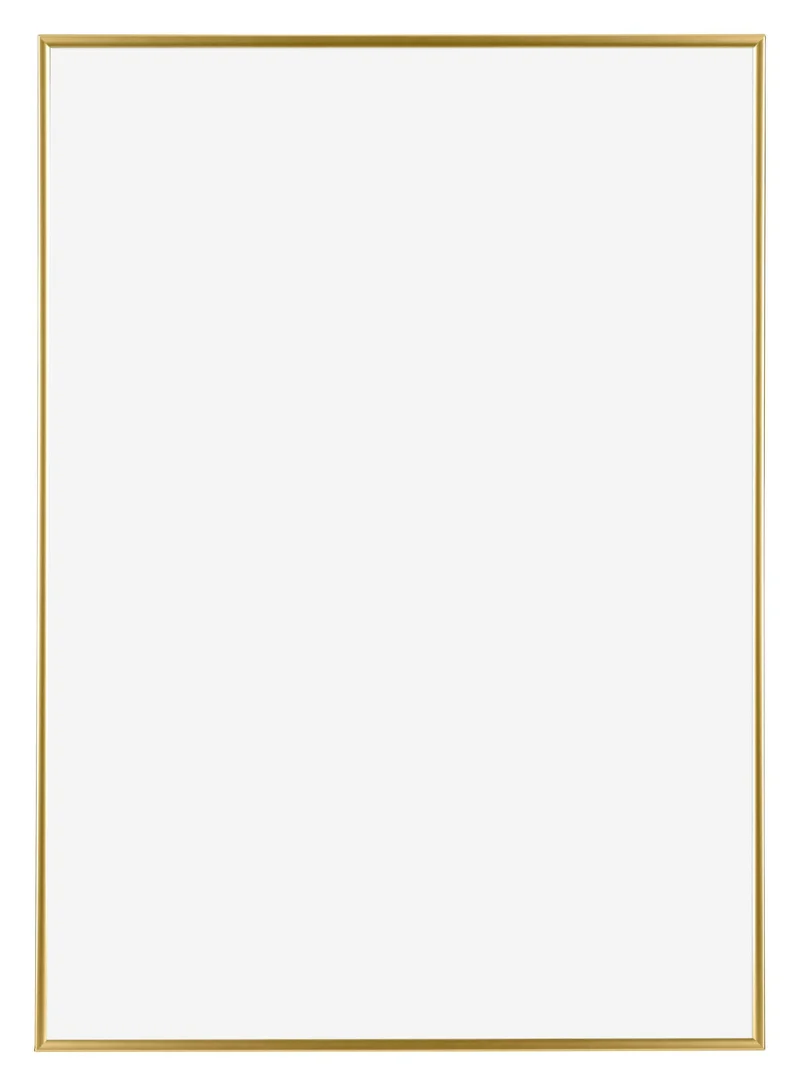 Bilderrahmen 70x100 cm - Gold - Kunststoff - Evry